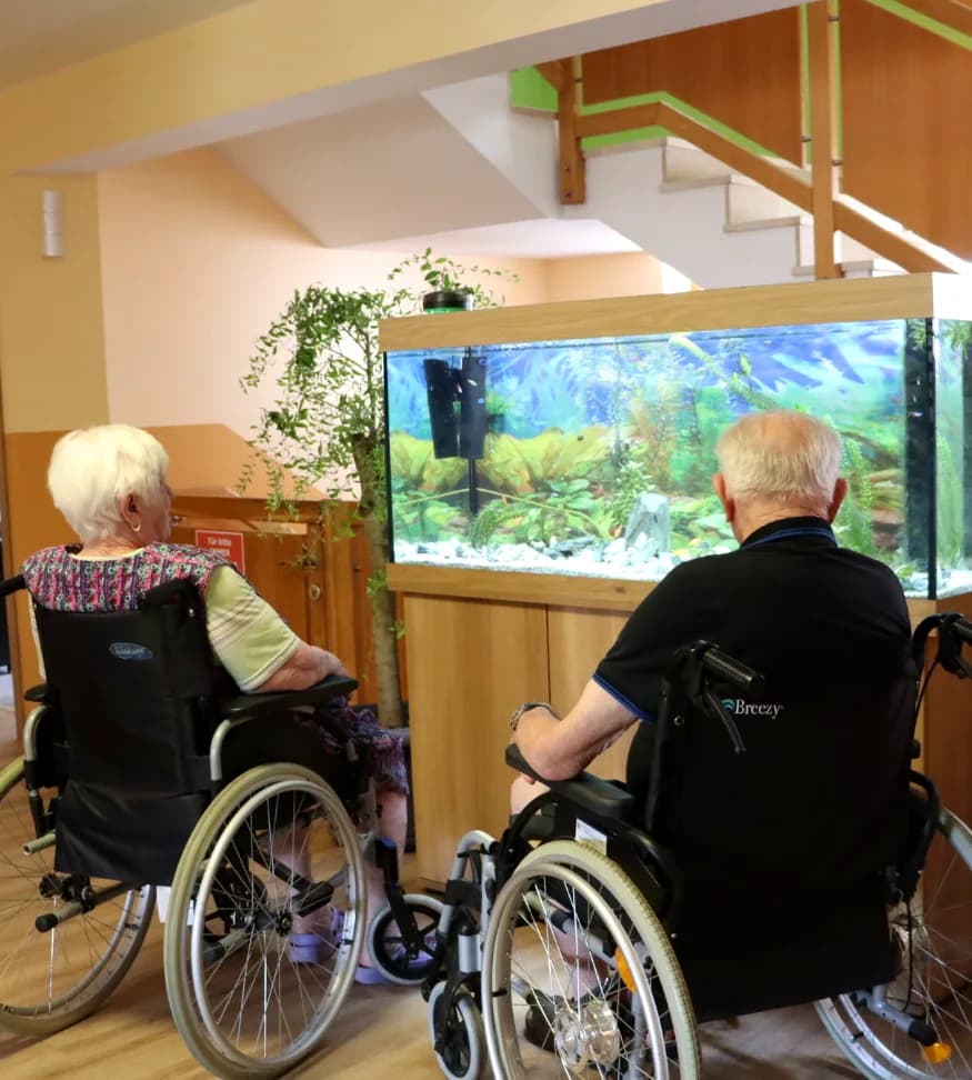 Bewohnerinnen und Bewohner schauen auf das Aquarium im Haus
