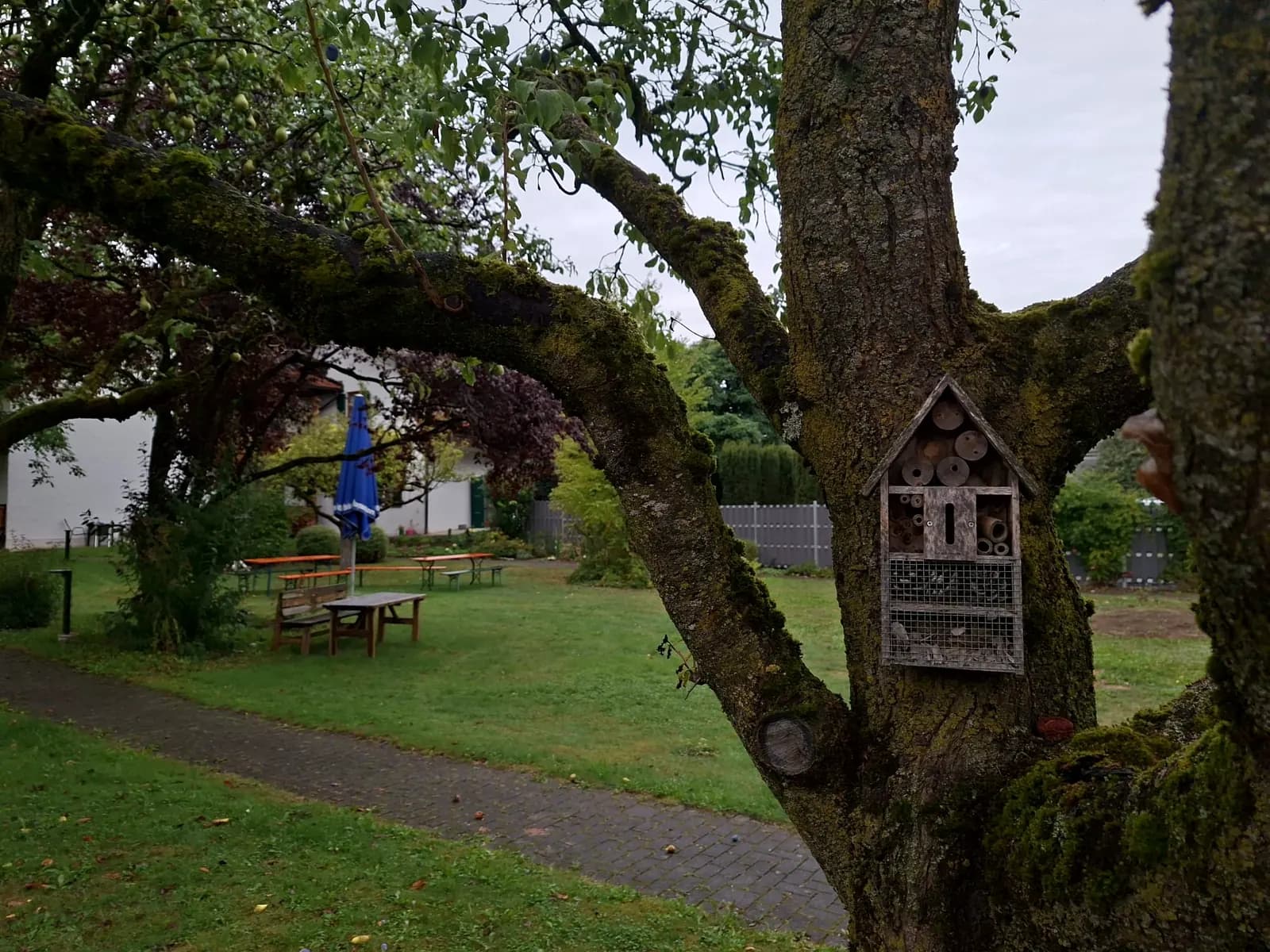 Alter Baum mit kleinem Insektenhotel im herbstlichen Garten