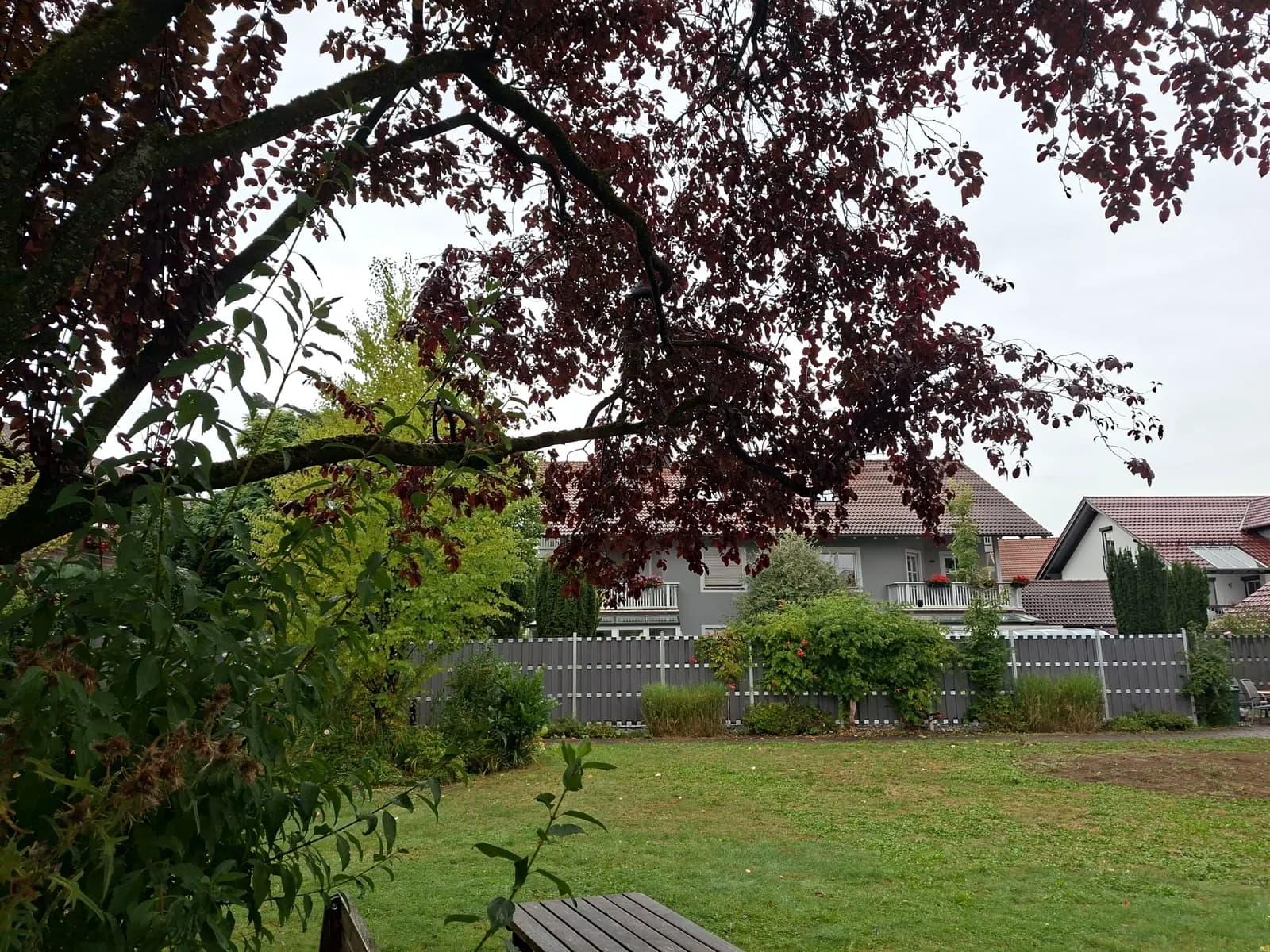Herbstlich gefärbte Bäume im Garten des Seniorenpflegeheims